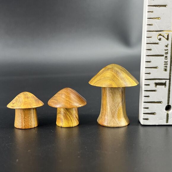 Dollhouse Miniature M Hunt Smoke Bush Wood Lidded Mushroom Jars New Zealand Set - Picture 11 of 16